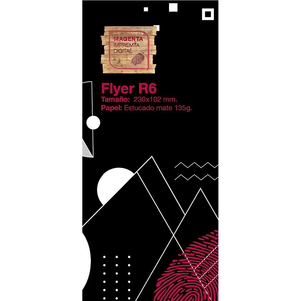 FLYER R6 (230x102)