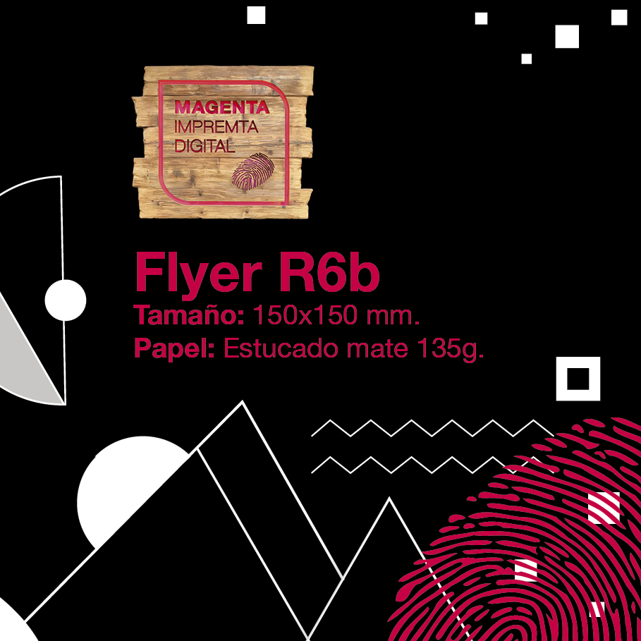 FLYER R6b (150x150)