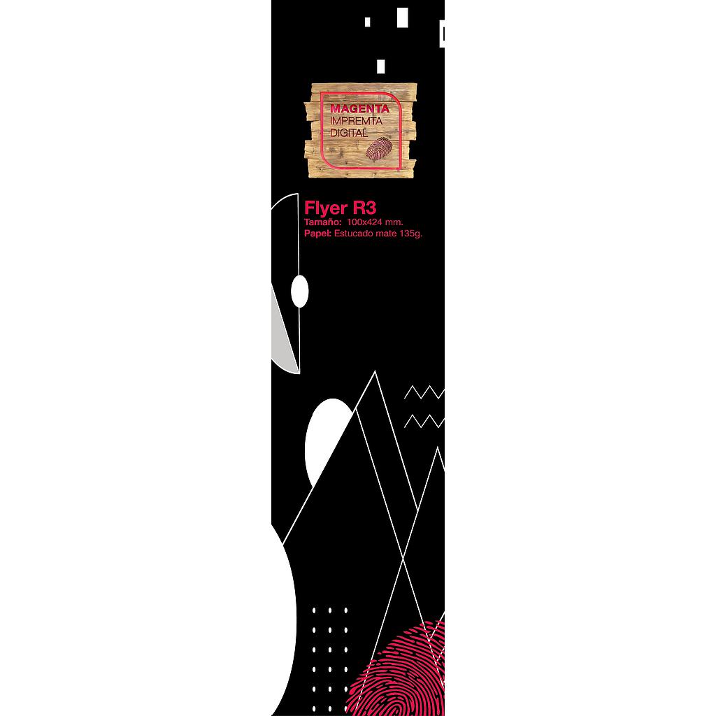 FLYER R3 (100x424)