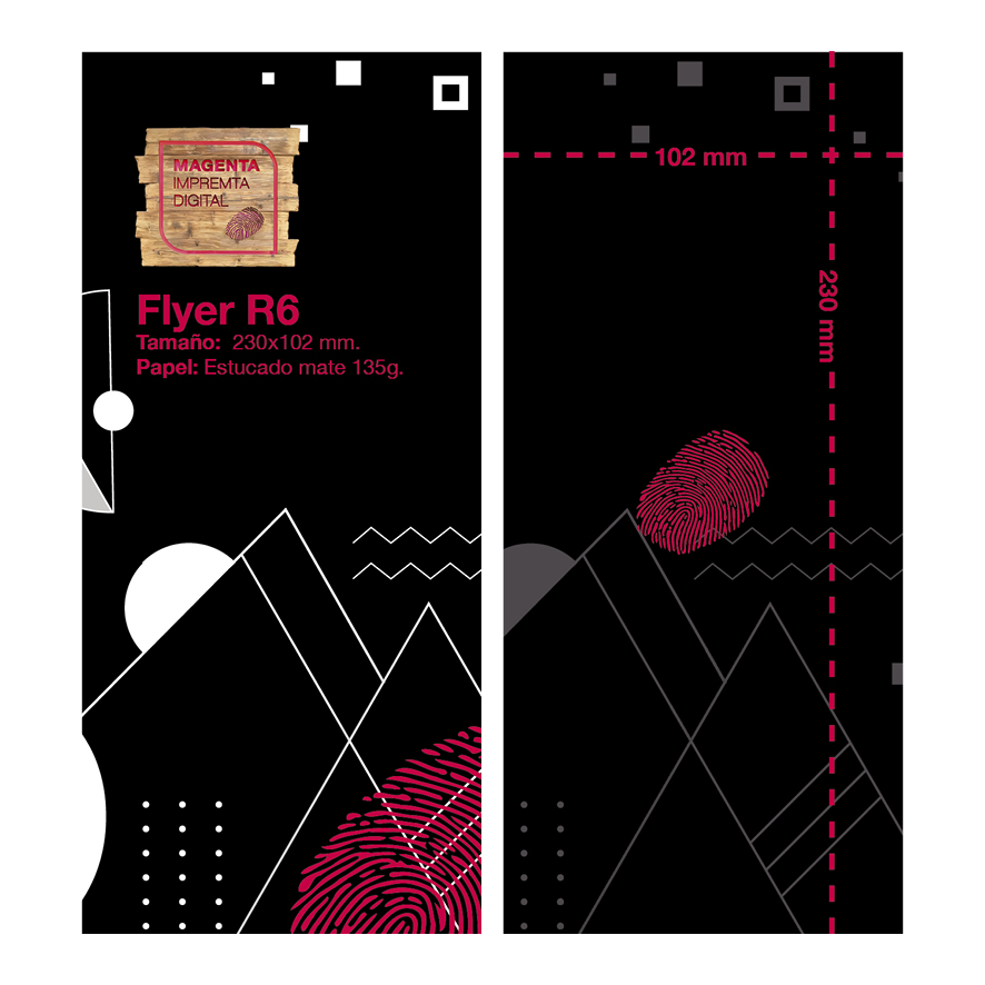 FLYER R6 (230x102)