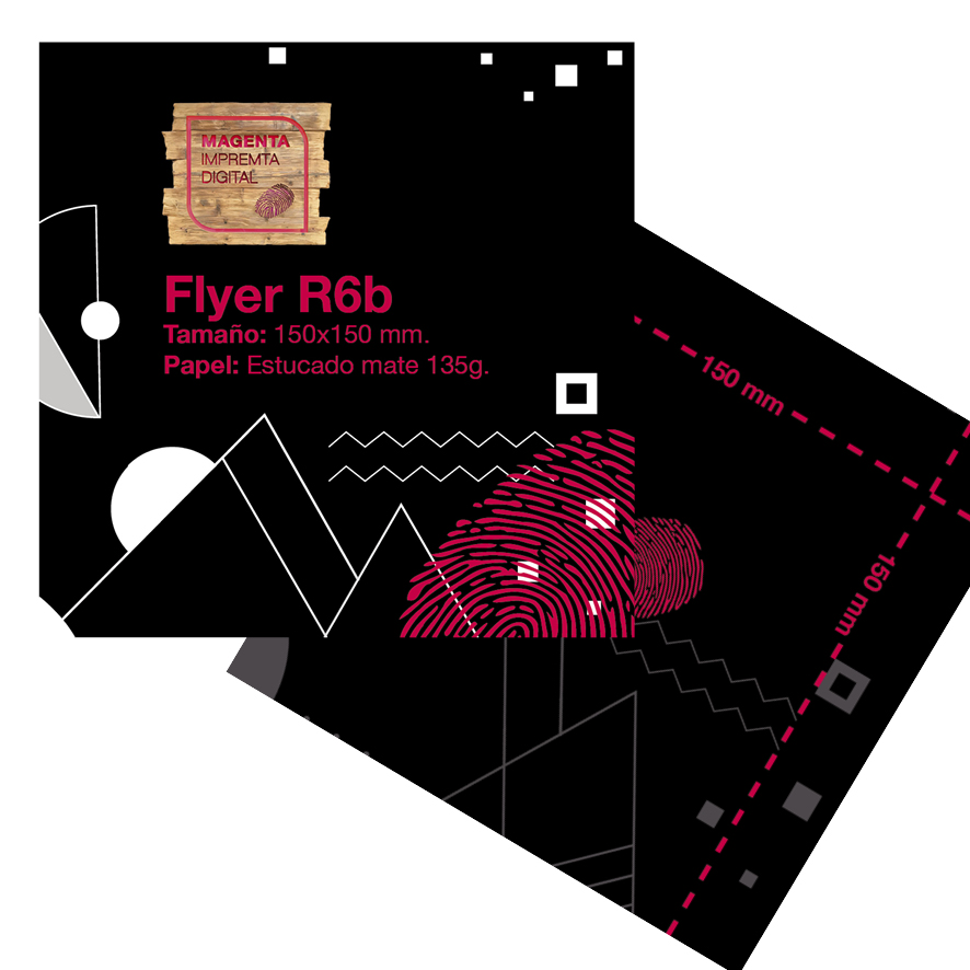 FLYER R6b (150x150)