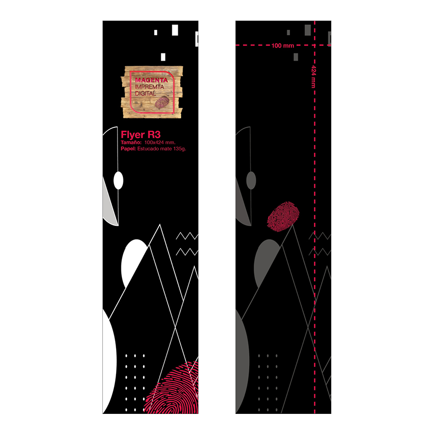 FLYER R3 (100x424)